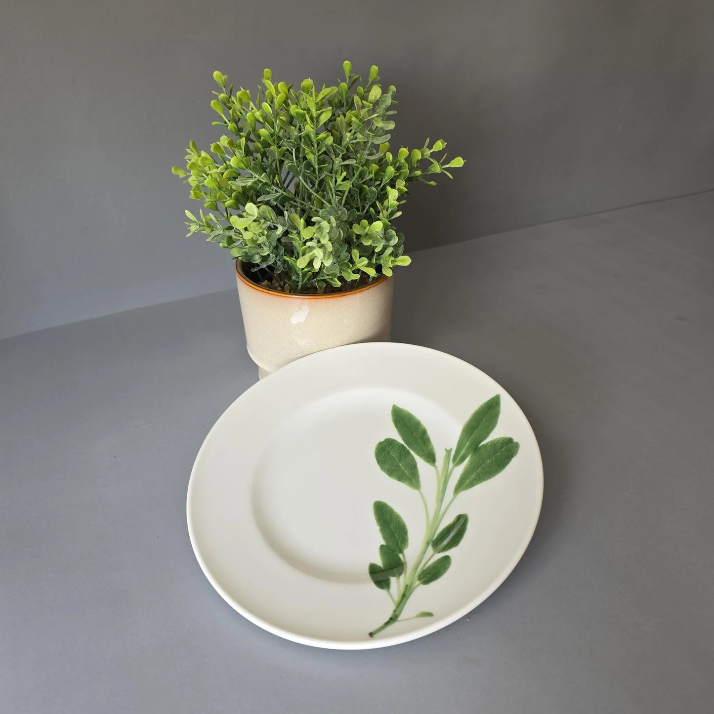 Frühstücksteller 19cm - Dibbern Herbaticum - Salbei