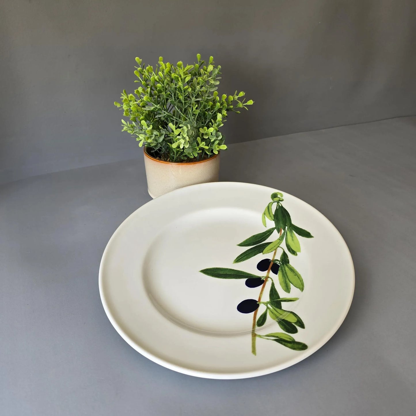 Speiseteller 26cm - Dibbern Herbaticum - Motiv Olive - flacher Teller