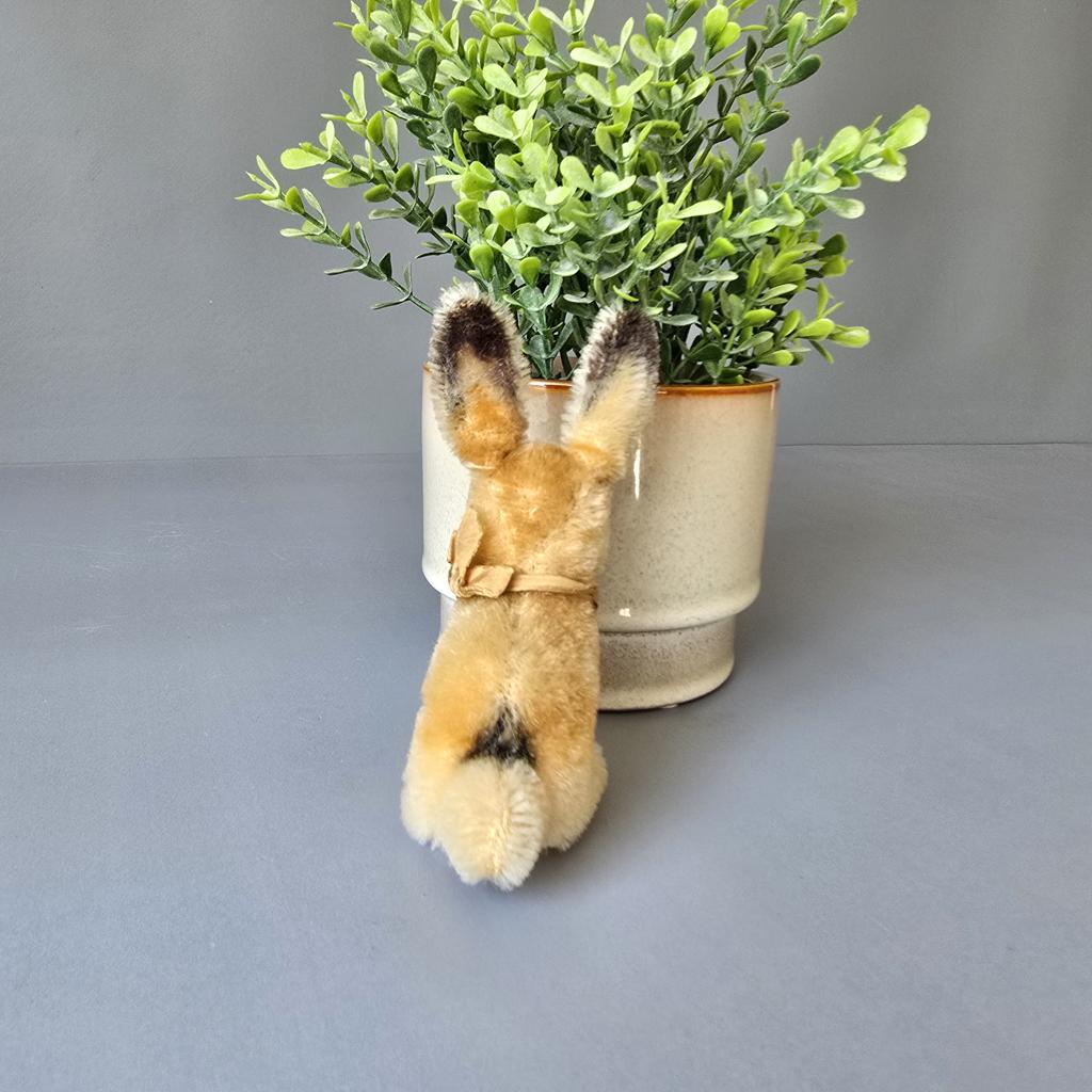 Kleiner Steiff Hase mit Knopf und Fahne