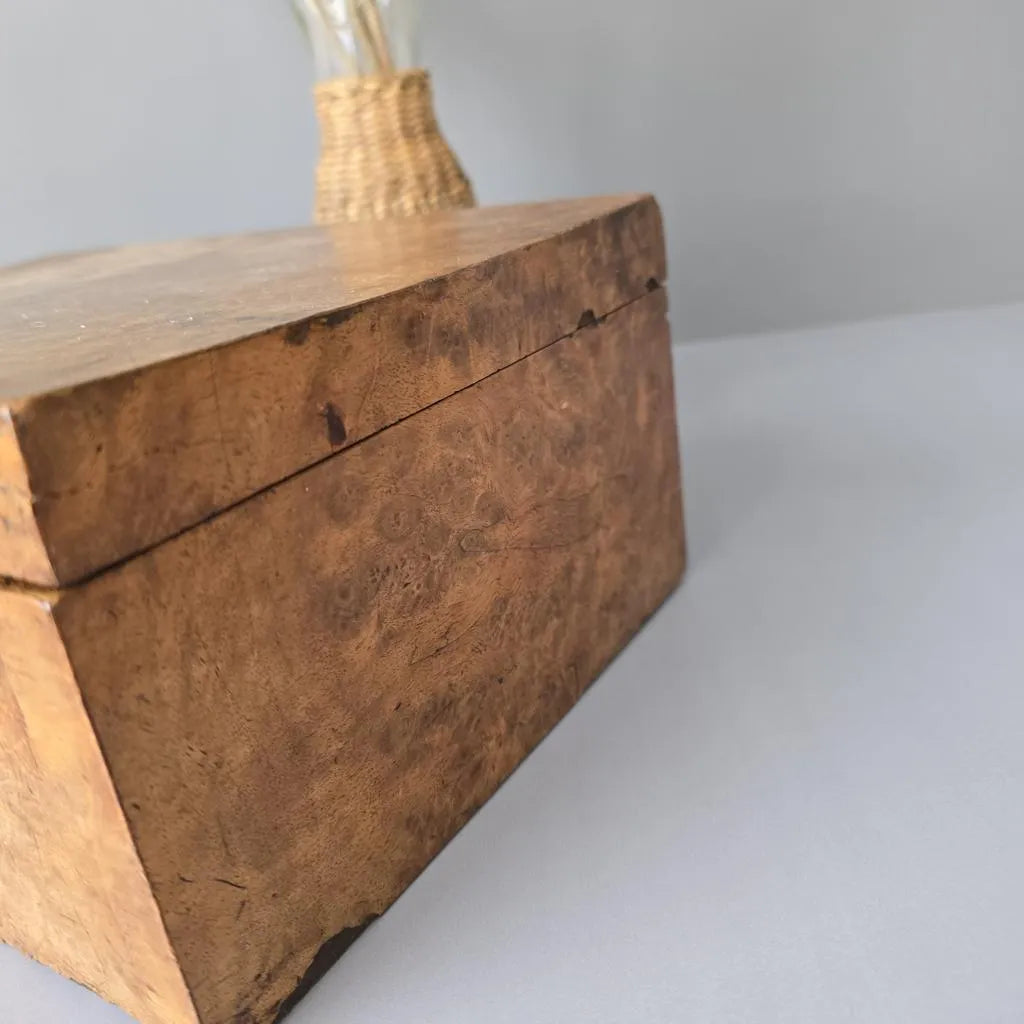 Antike große Wurzelholz Tisch-Kiste - Wundervoller Holzkasten - 28 x 20 cm
