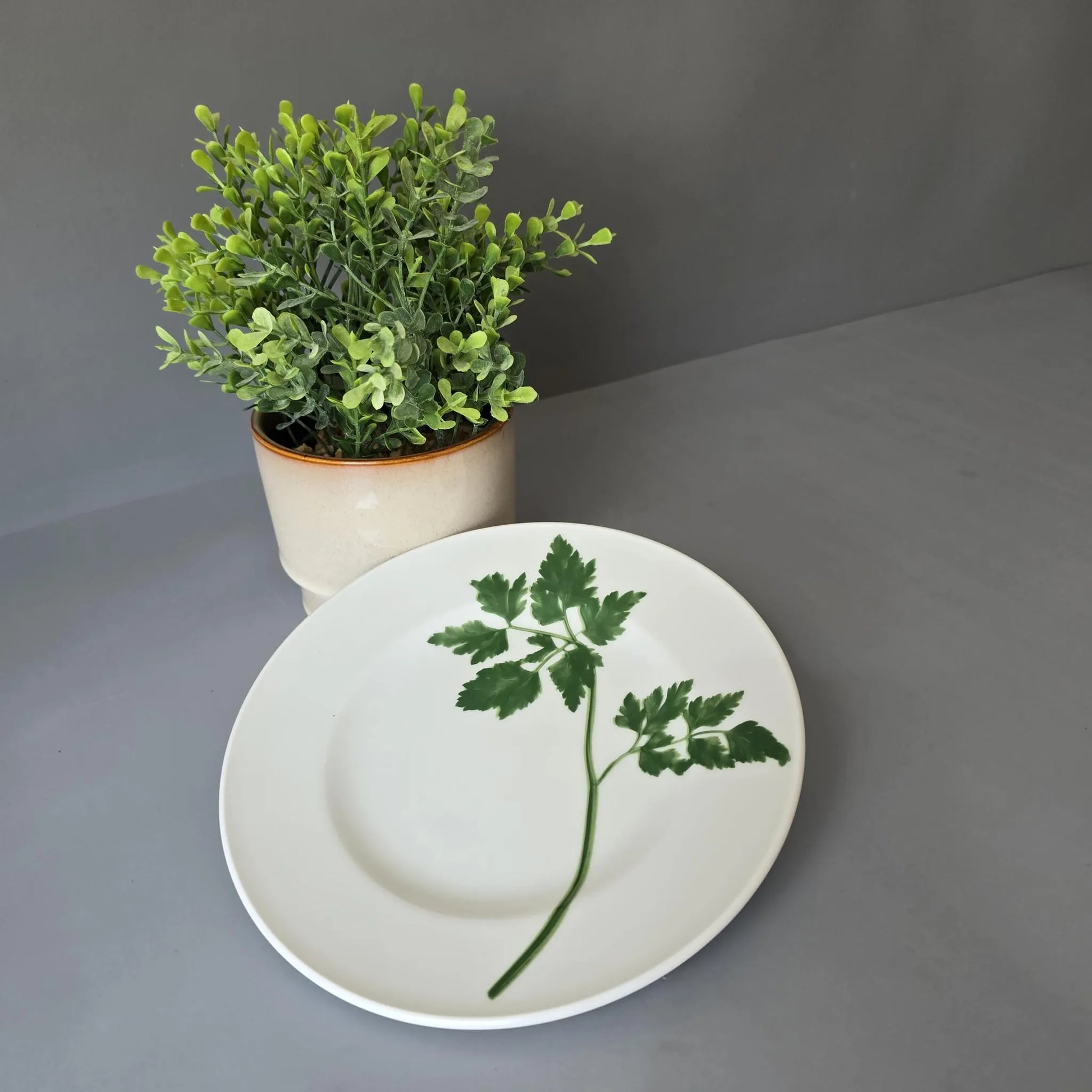 Frühstücksteller 19cm - Dibbern Herbaticum - Petersilie
