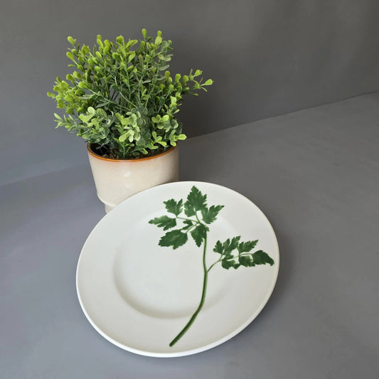 Frühstücksteller 19cm - Dibbern Herbaticum - Petersilie