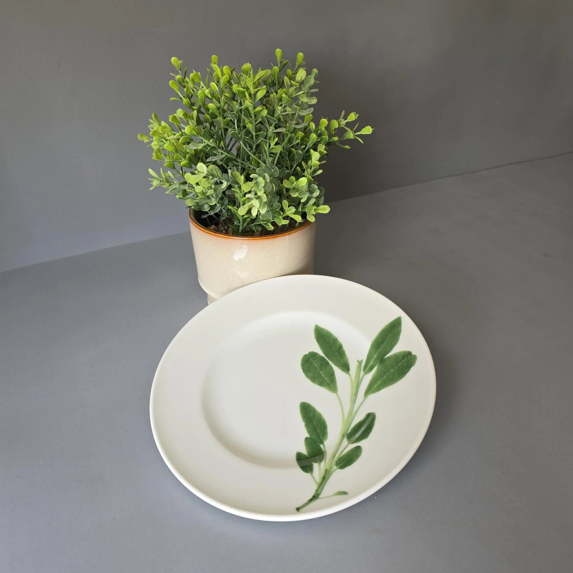 Frühstücksteller 19cm - Dibbern Herbaticum - Salbei