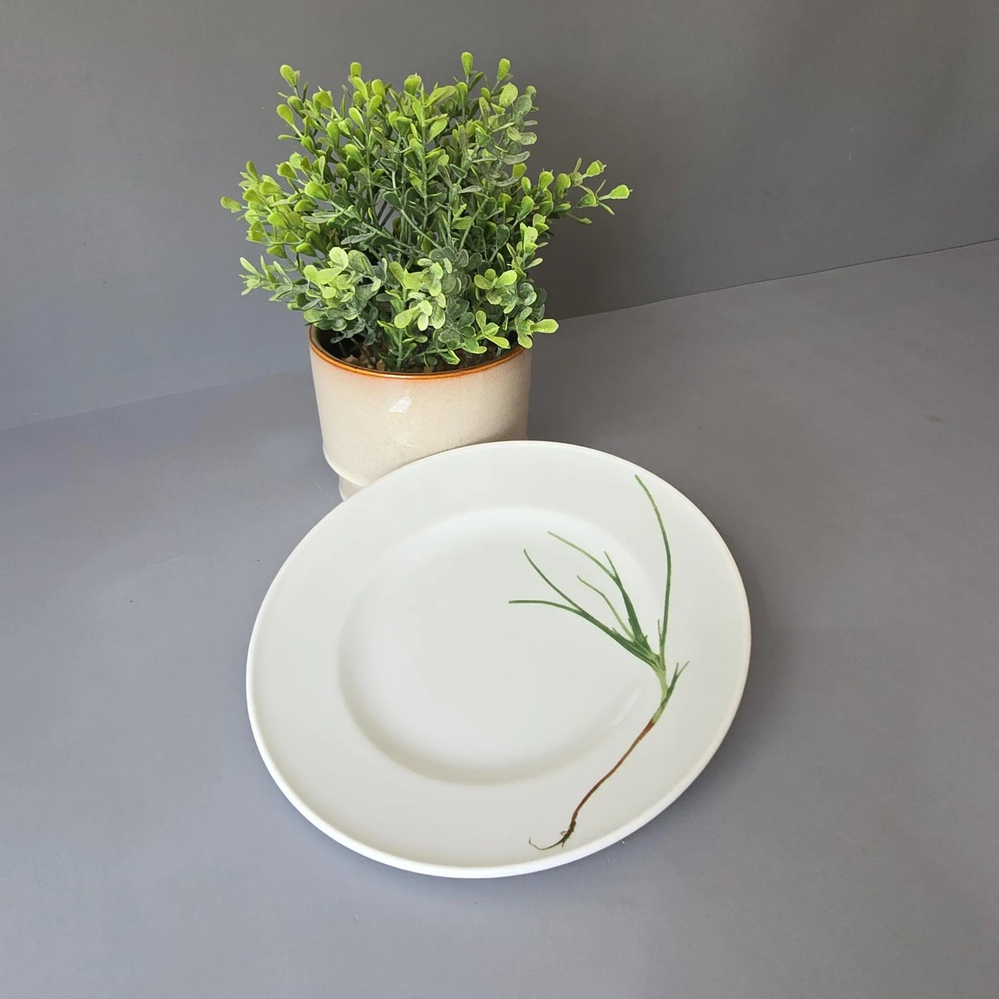 Frühstücksteller 19cm - Dibbern Herbaticum - Schnittlauch