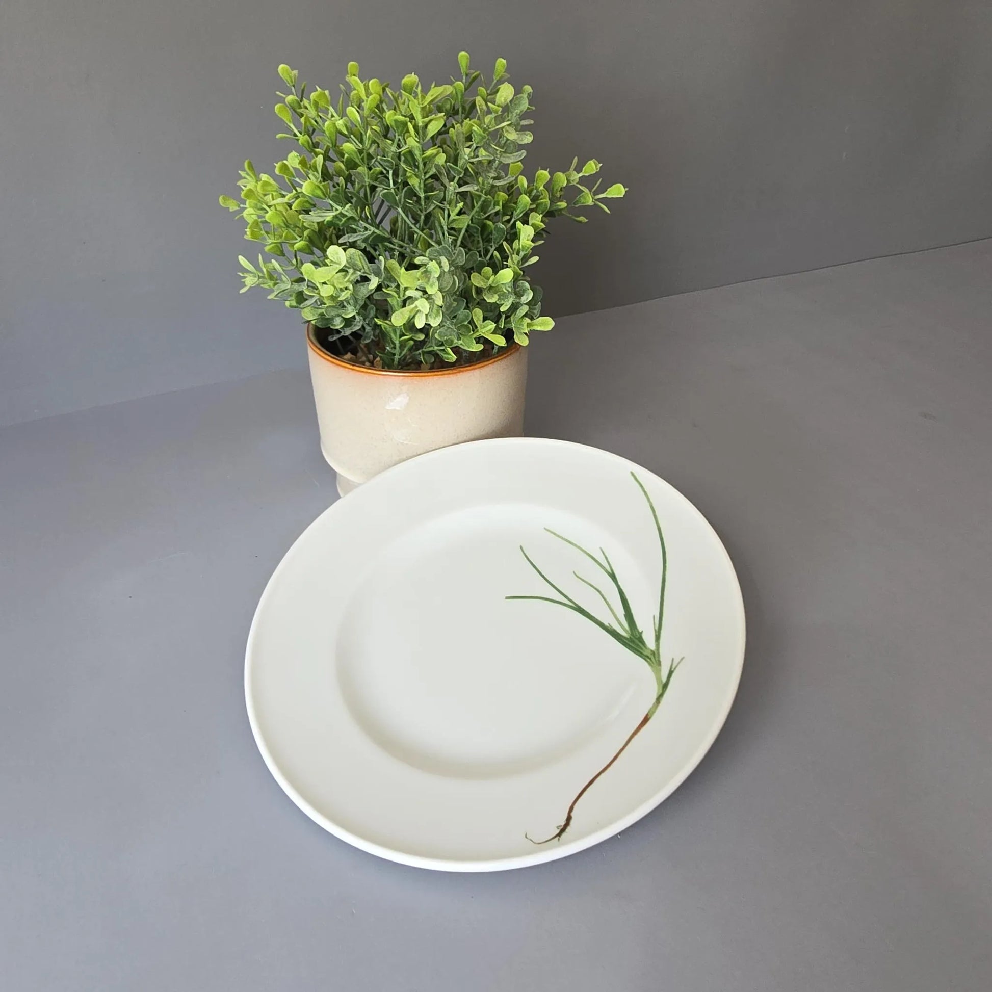 Frühstücksteller 19cm - Dibbern Herbaticum - Schnittlauch