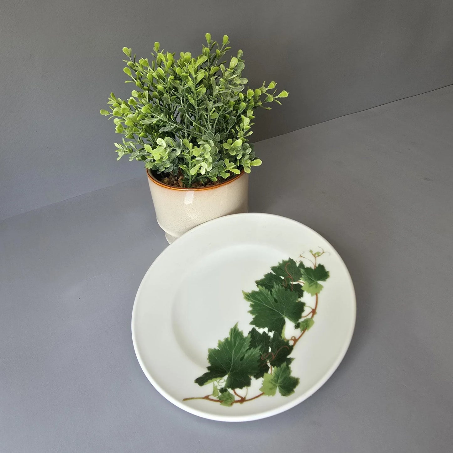 Frühstücksteller 19cm - Dibbern Herbaticum - Wein