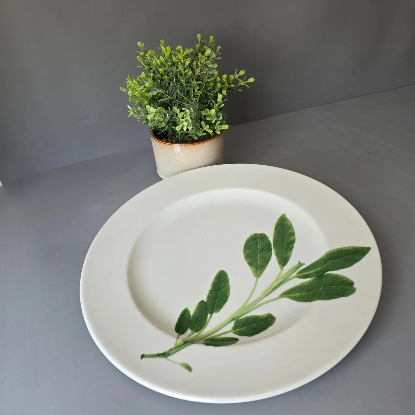 Platztellerteller 31cm - Dibbern Herbaticum - Motiv Salbei - großer flacher Teller