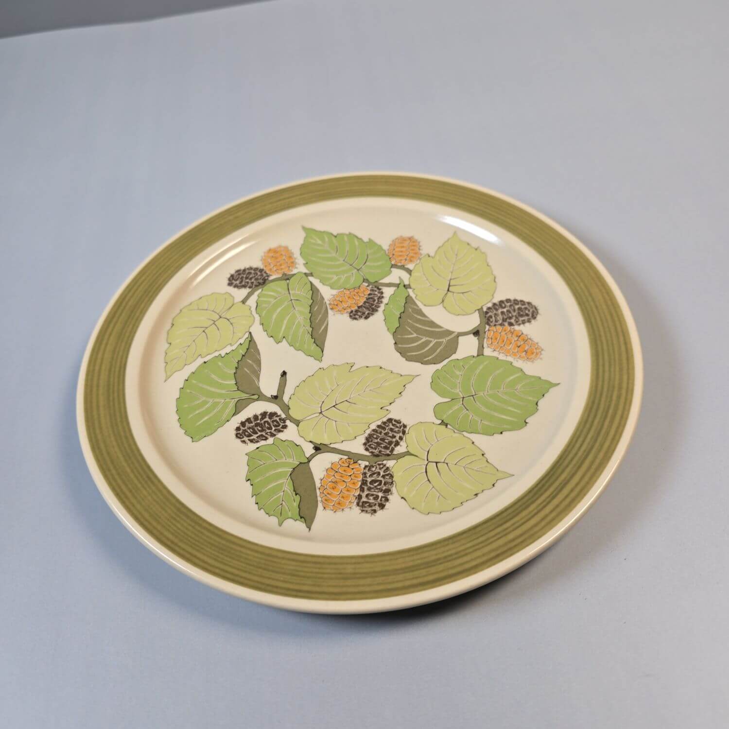 Rosenthal Terra Garda – Vintage Geschirr 70er, 15-tlg.