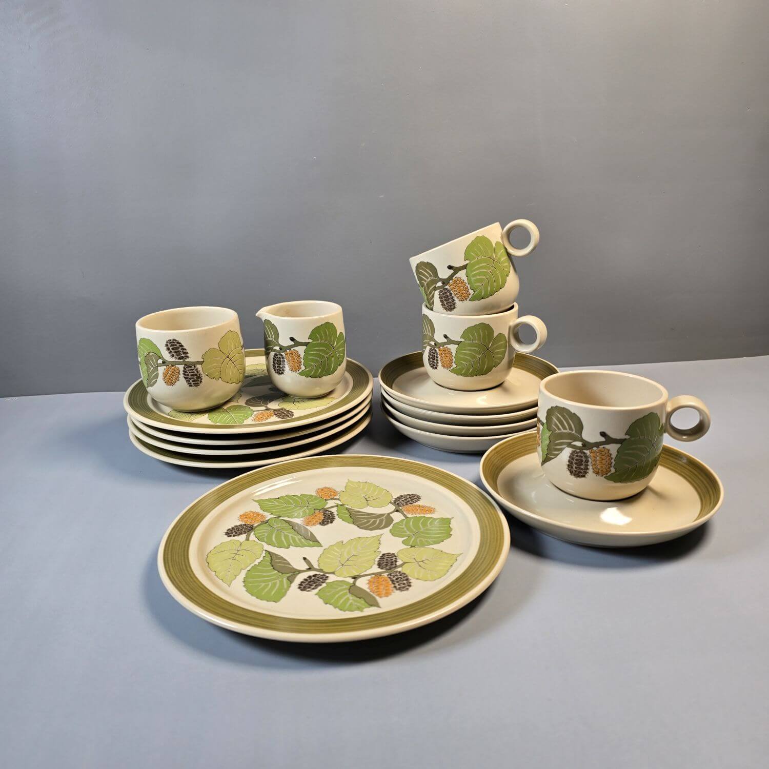 Rosenthal Terra Garda – Vintage Geschirr 70er, 15-tlg.