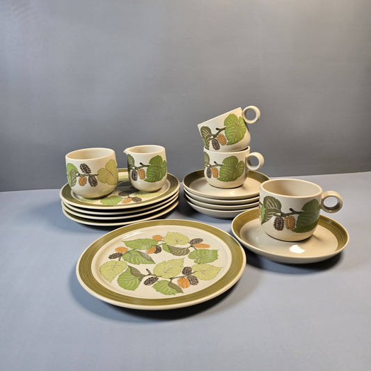 Rosenthal Terra Garda – Vintage Geschirr 70er, 15-tlg.