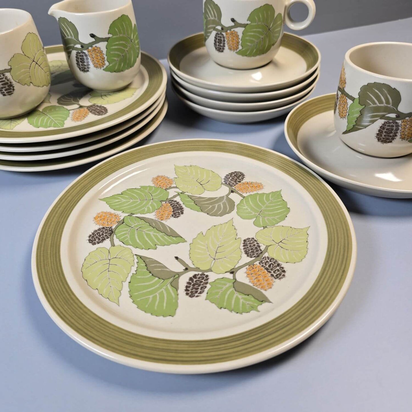 Rosenthal Terra Garda – Vintage Geschirr 70er, 15-tlg.