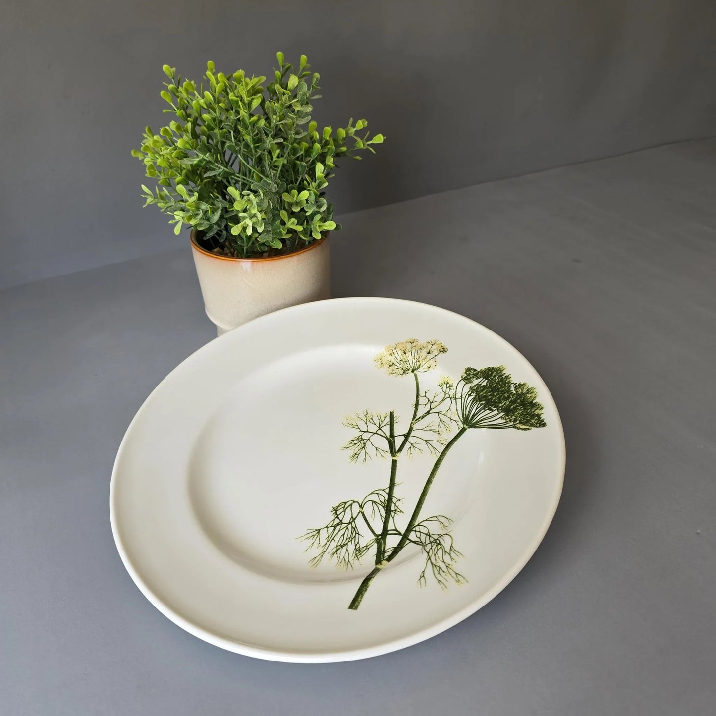 Speiseteller 26cm - Dibbern Herbaticum - Motiv Dill - flacher Teller