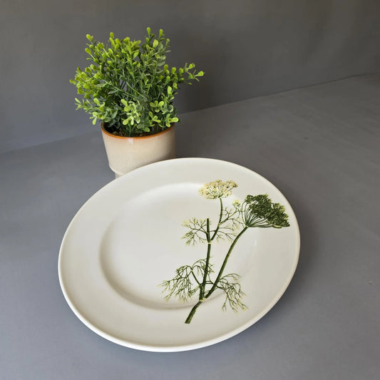 Speiseteller 26cm - Dibbern Herbaticum - Motiv Dill - flacher Teller
