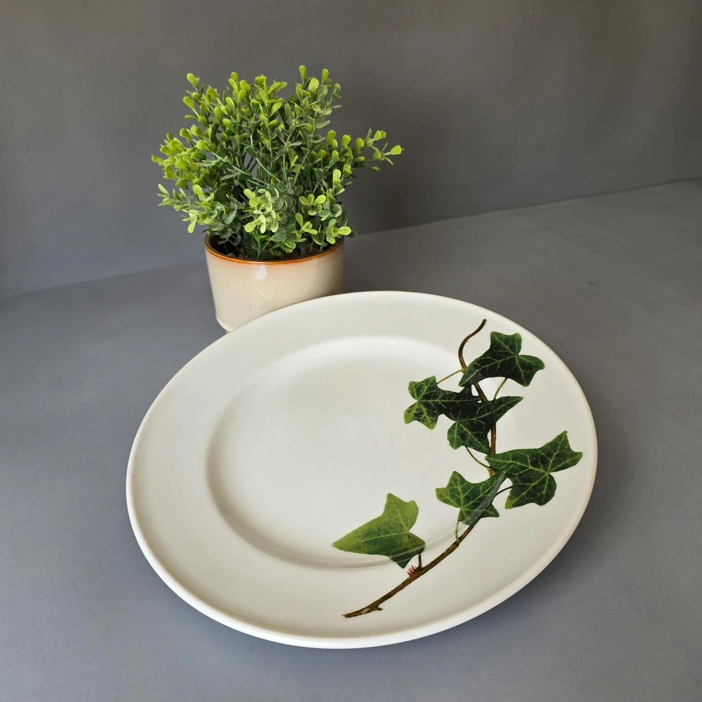Speiseteller 26cm - Dibbern Herbaticum - Motiv Efeu - flacher Teller