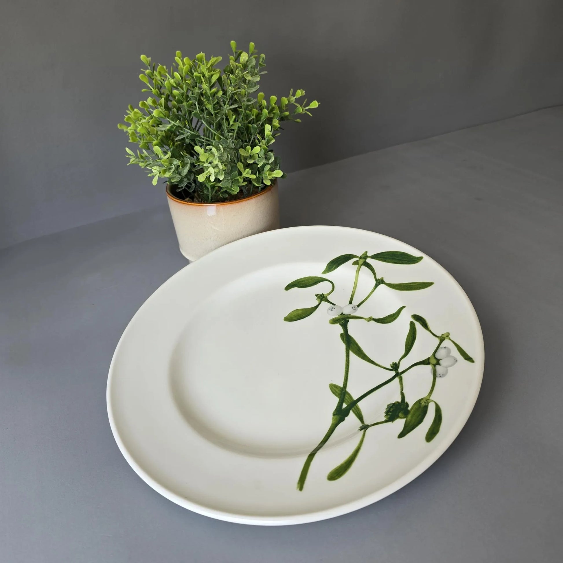 Speiseteller 26cm - Dibbern Herbaticum - Motiv Mistel - flacher Teller