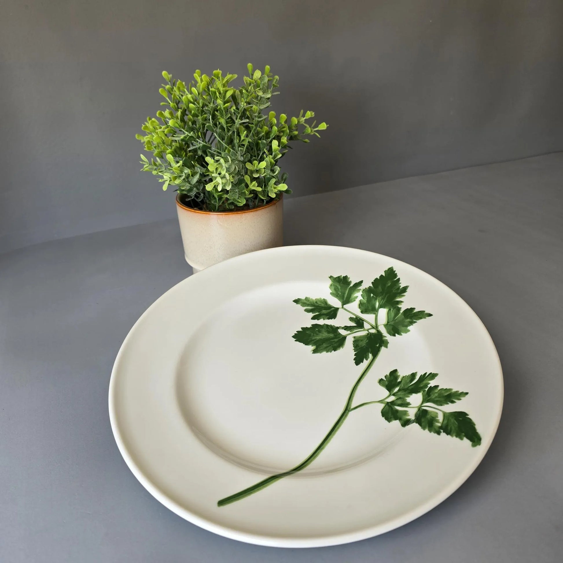 Speiseteller 26cm - Dibbern Herbaticum - Motiv Petersilie - flacher Teller