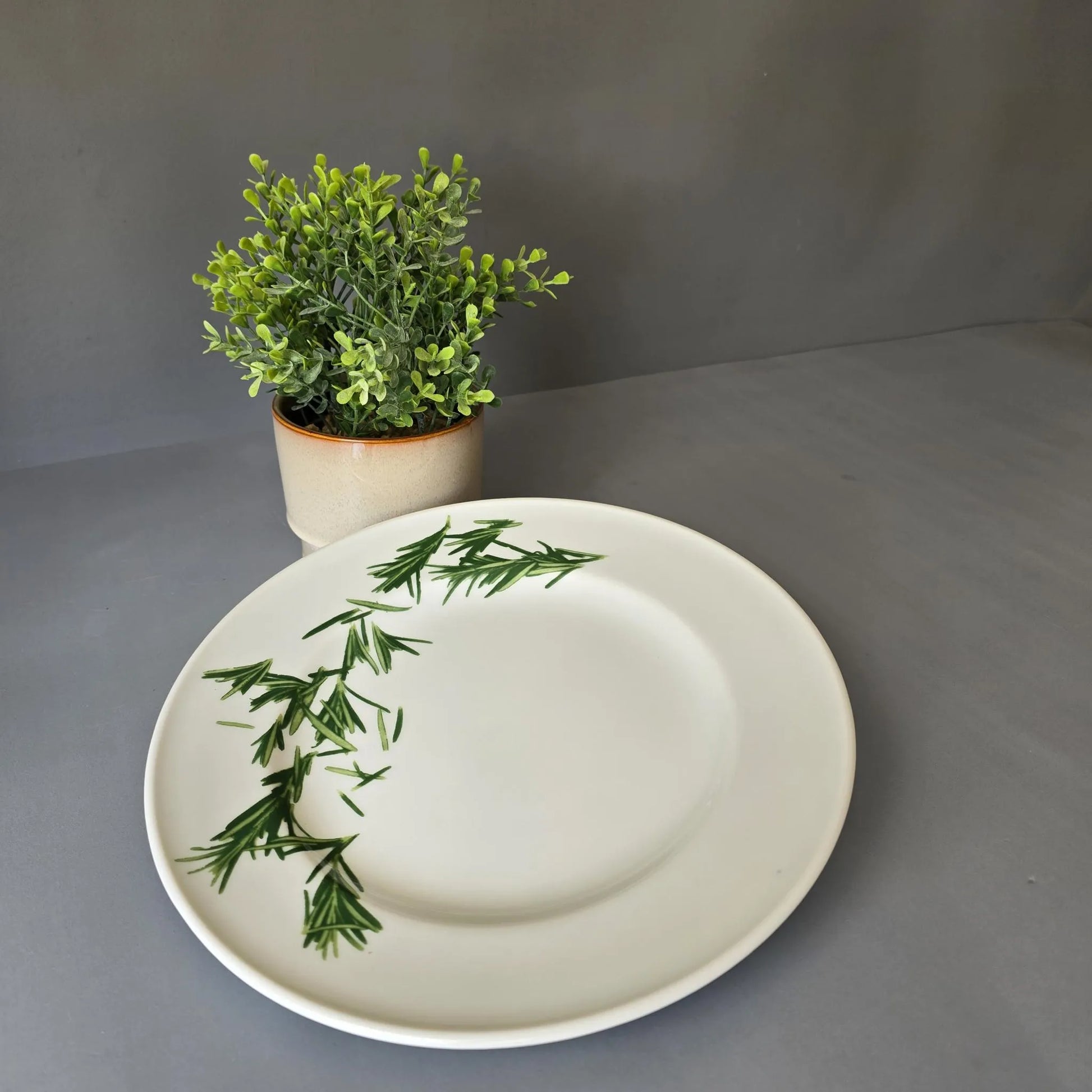 Speiseteller 26cm - Dibbern Herbaticum - Motiv Rosmarin - flacher Teller