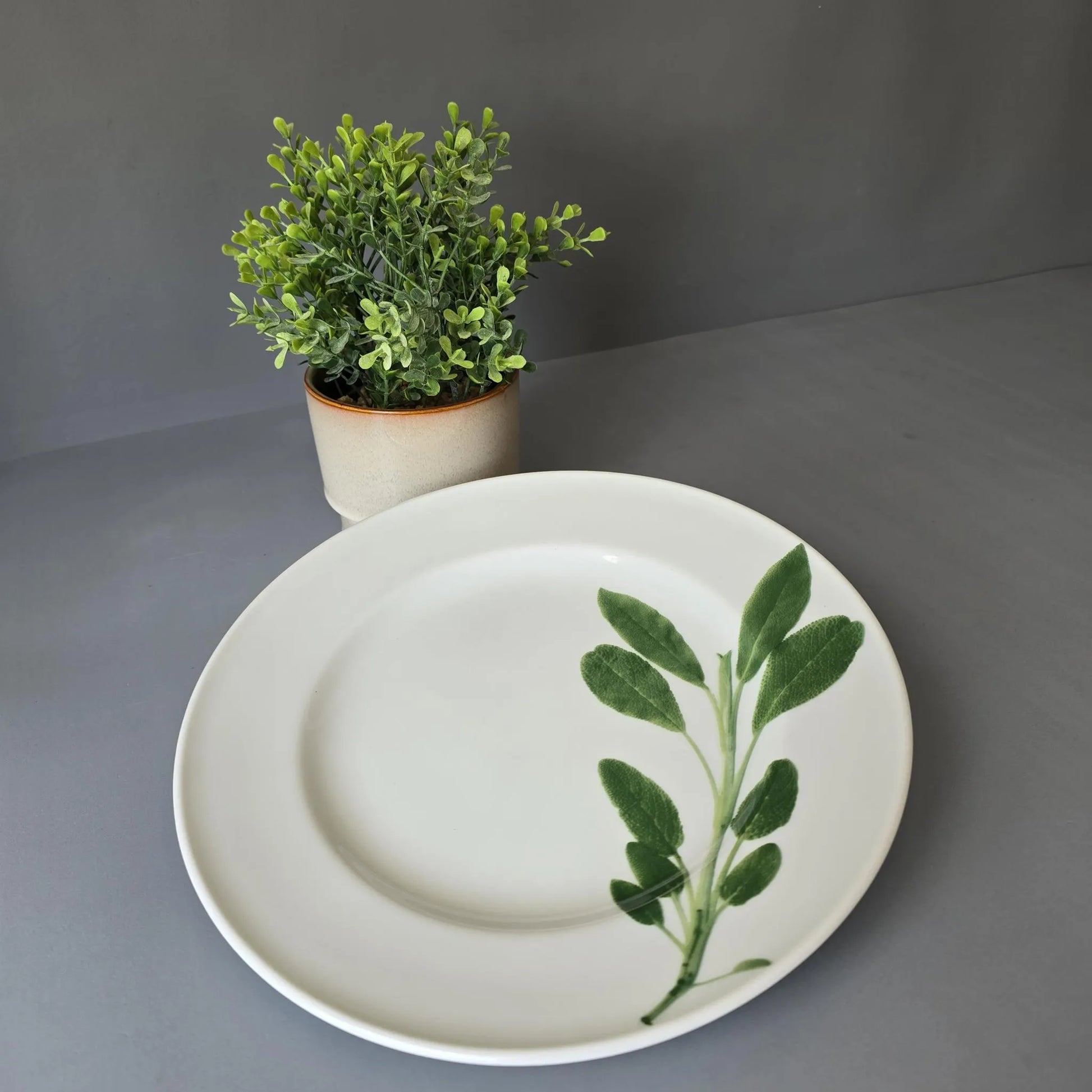 Speiseteller 26cm - Dibbern Herbaticum - Motiv Salbei - flacher Teller