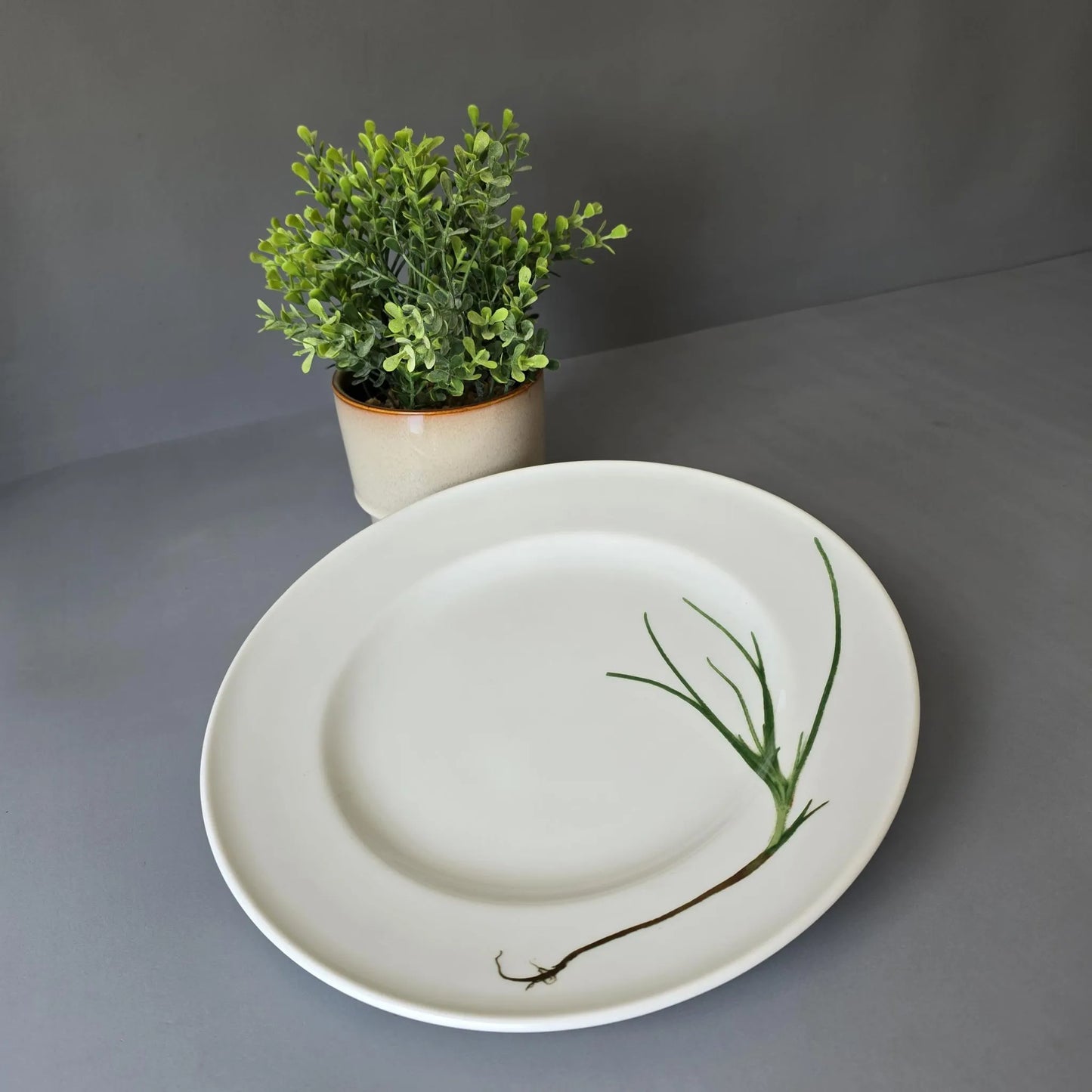 Speiseteller 26cm - Dibbern Herbaticum - Motiv Schnittlauch - flacher Teller