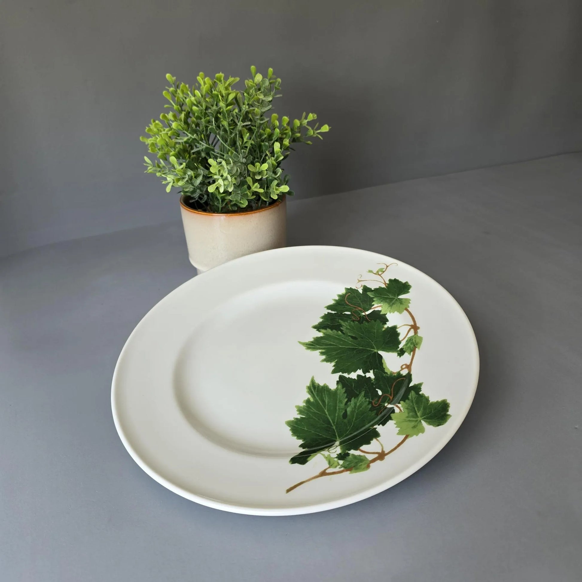 Speiseteller 26cm - Dibbern Herbaticum - Motiv Weinranke - flacher Teller