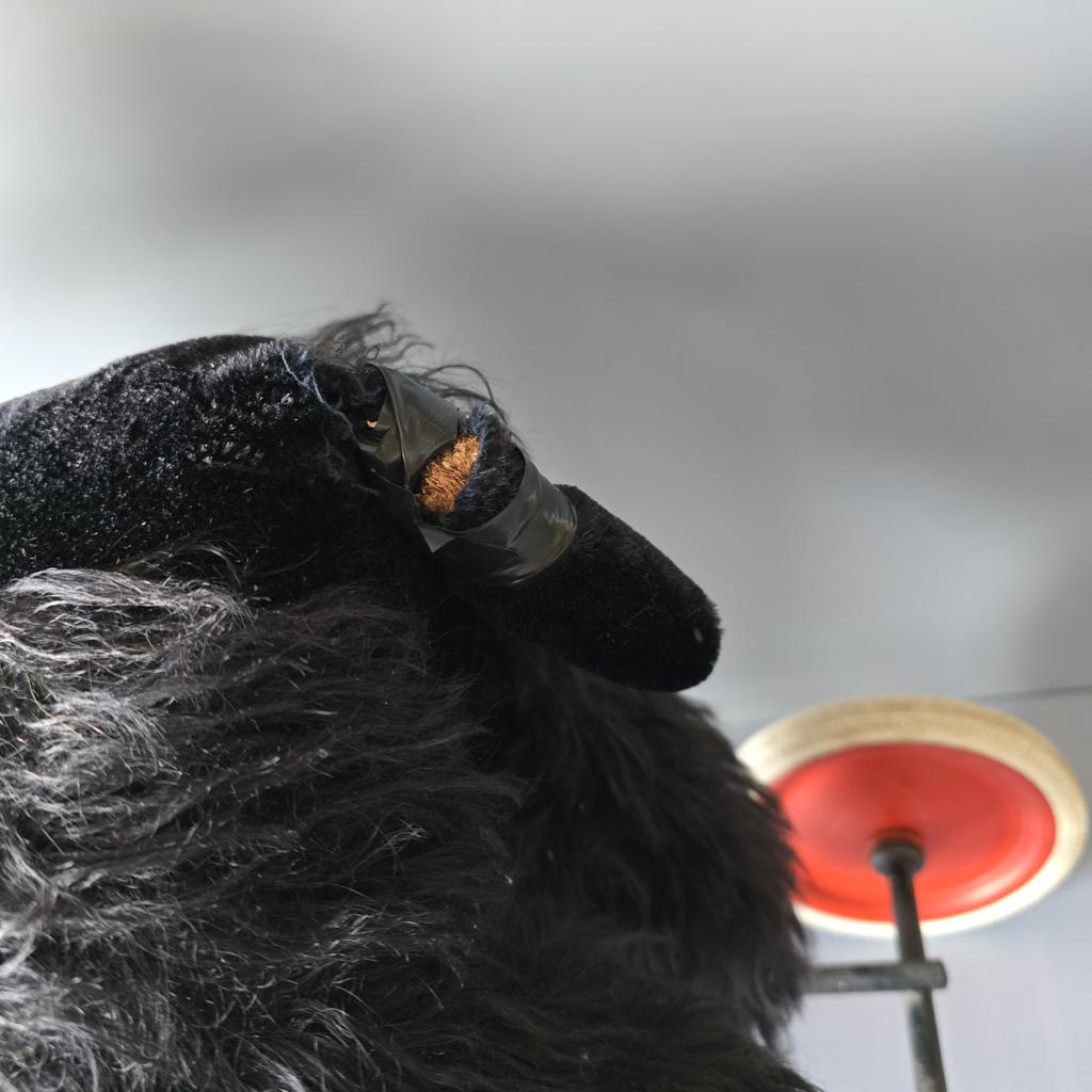 Vintage Steiff Hund auf Rädern - Reittier Hund