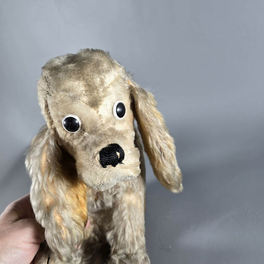 Cocker Spaniel - Stofftier - wohl Steiff 50er Jahre