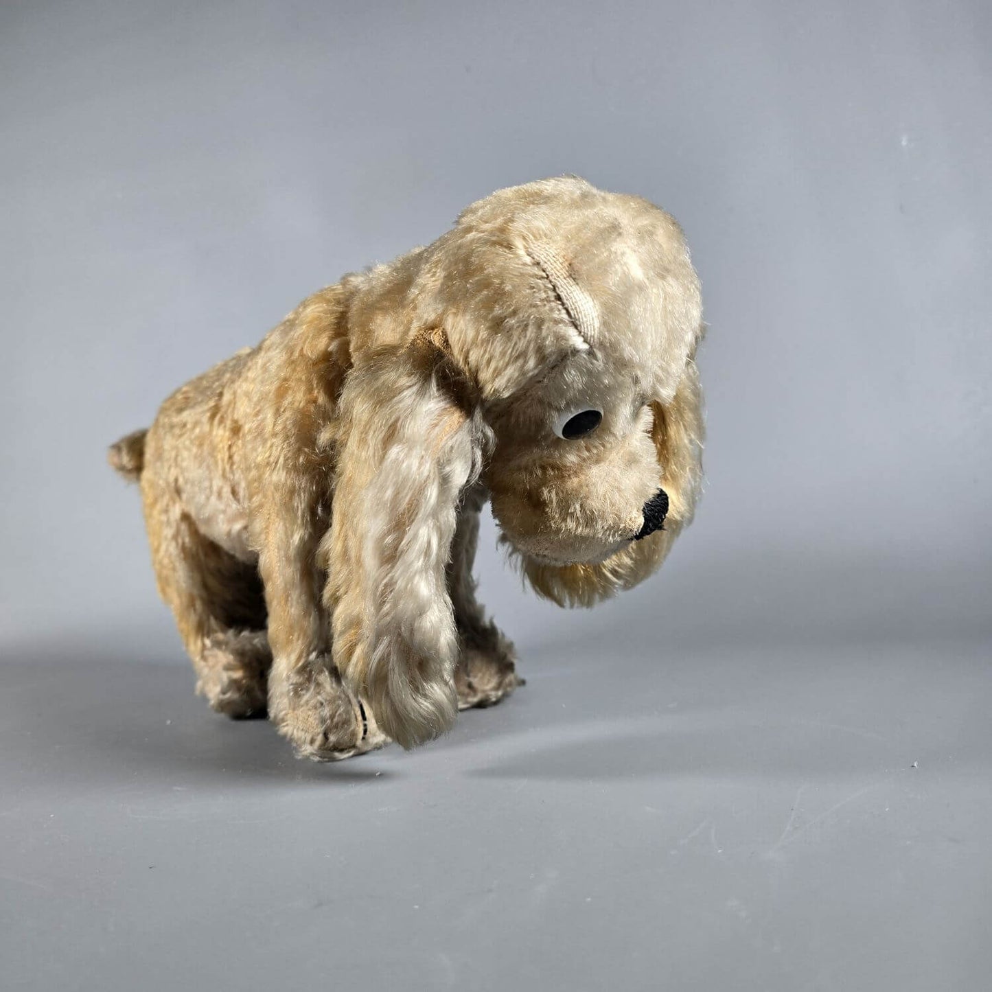 Cocker Spaniel - Stofftier - wohl Steiff 50er Jahre