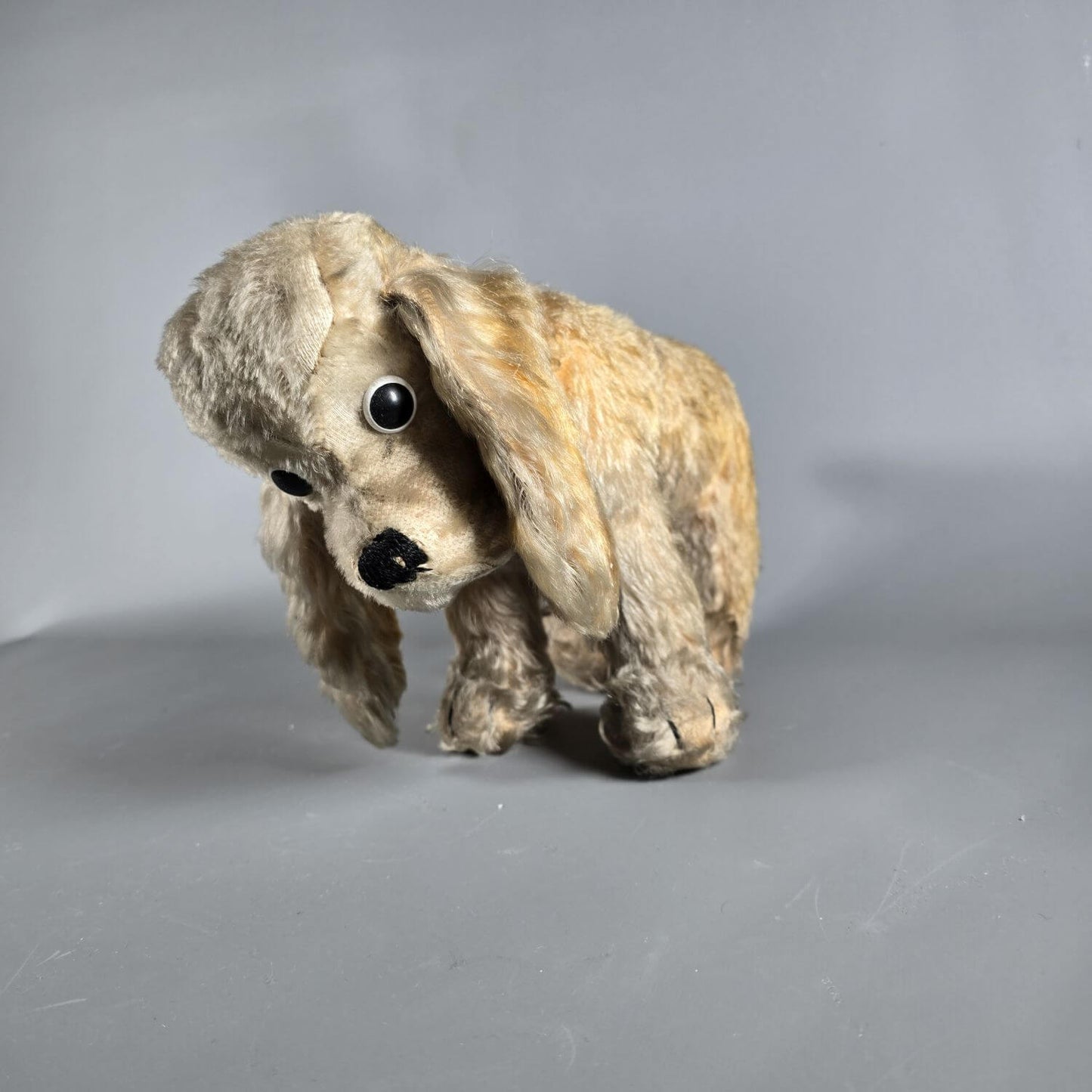 Cocker Spaniel - Stofftier - wohl Steiff 50er Jahre