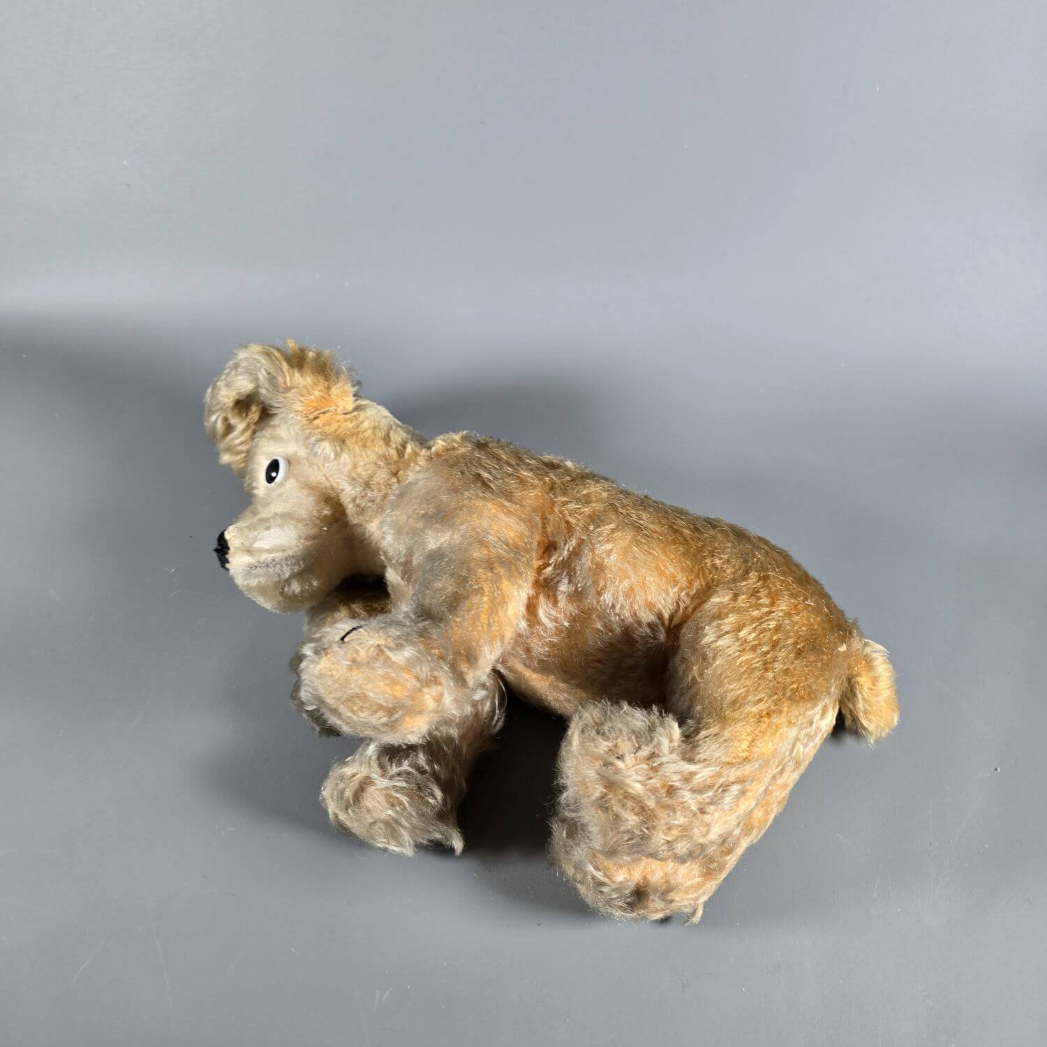Cocker Spaniel - Stofftier - wohl Steiff 50er Jahre