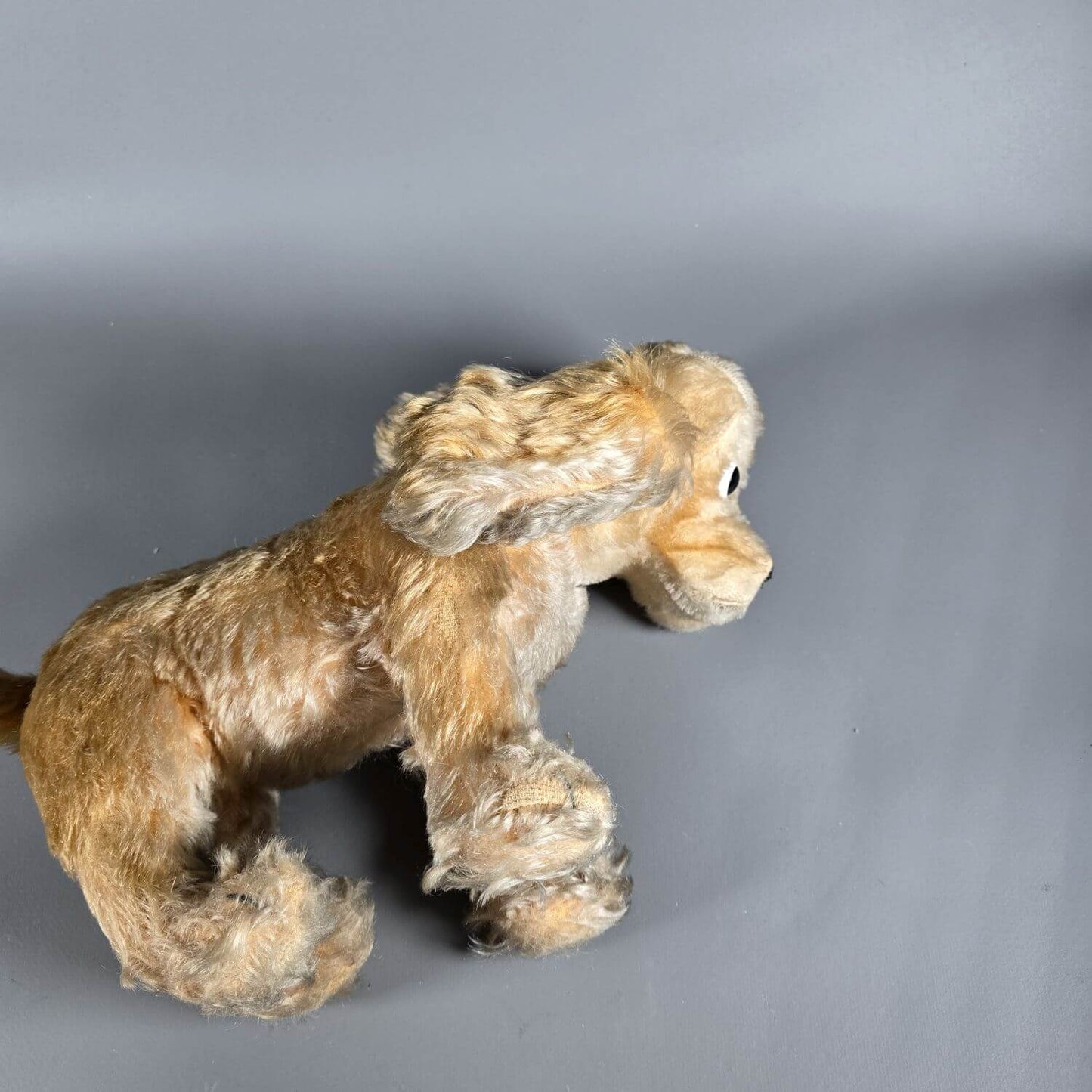 Cocker Spaniel - Stofftier - wohl Steiff 50er Jahre