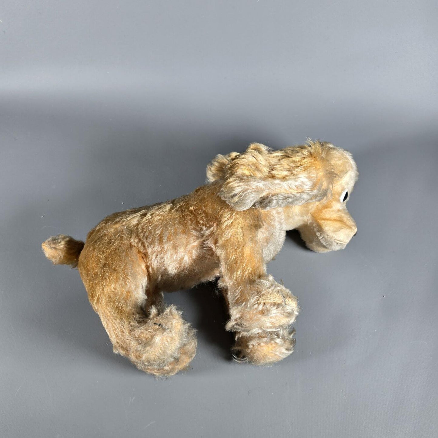 Cocker Spaniel - Stofftier - wohl Steiff 50er Jahre