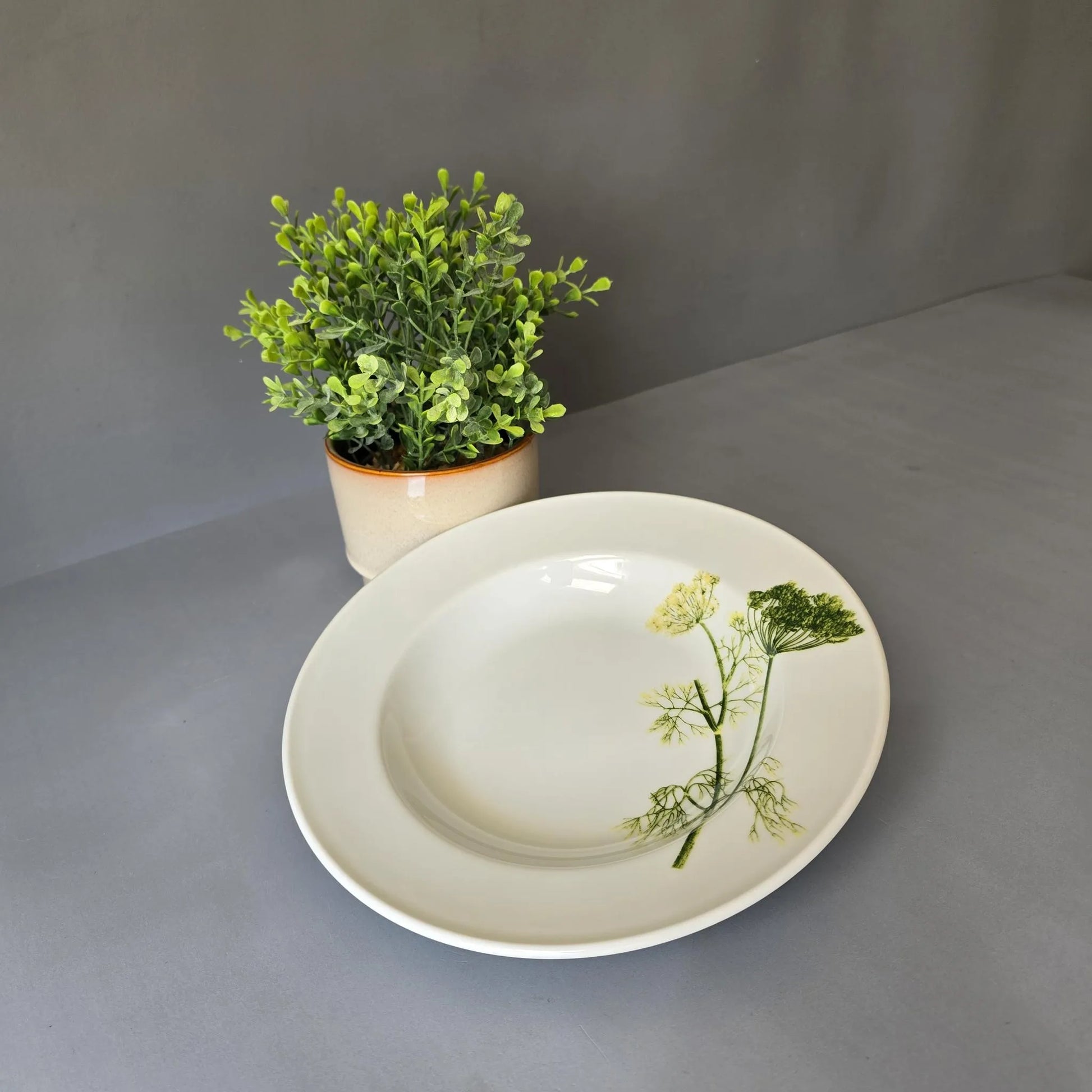 Suppenteller 23cm - Dibbern Herbaticum - Motiv Dill - tiefer Teller